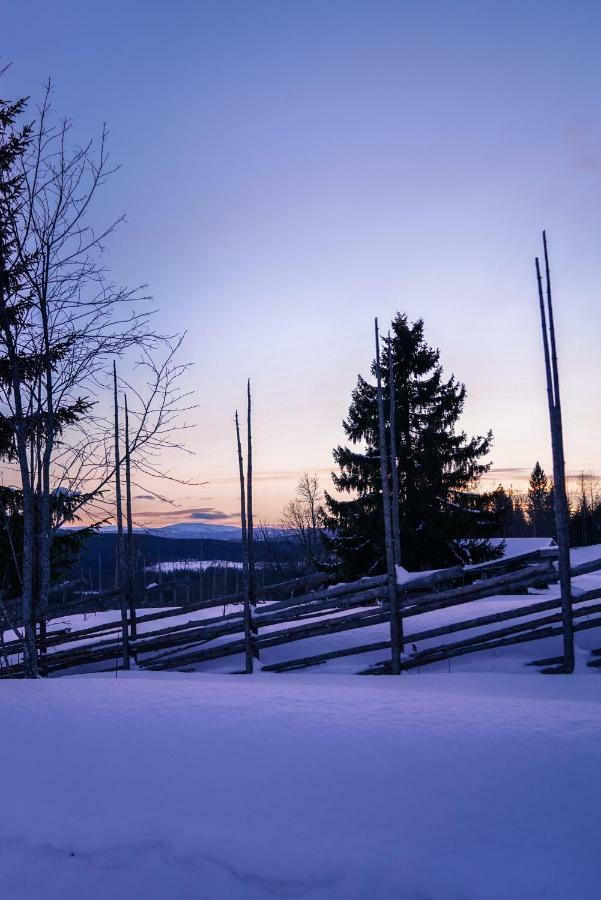 Asarna Skicenter Luaran gambar